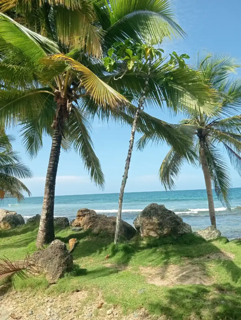 NoTravelNoParty - Panama 17